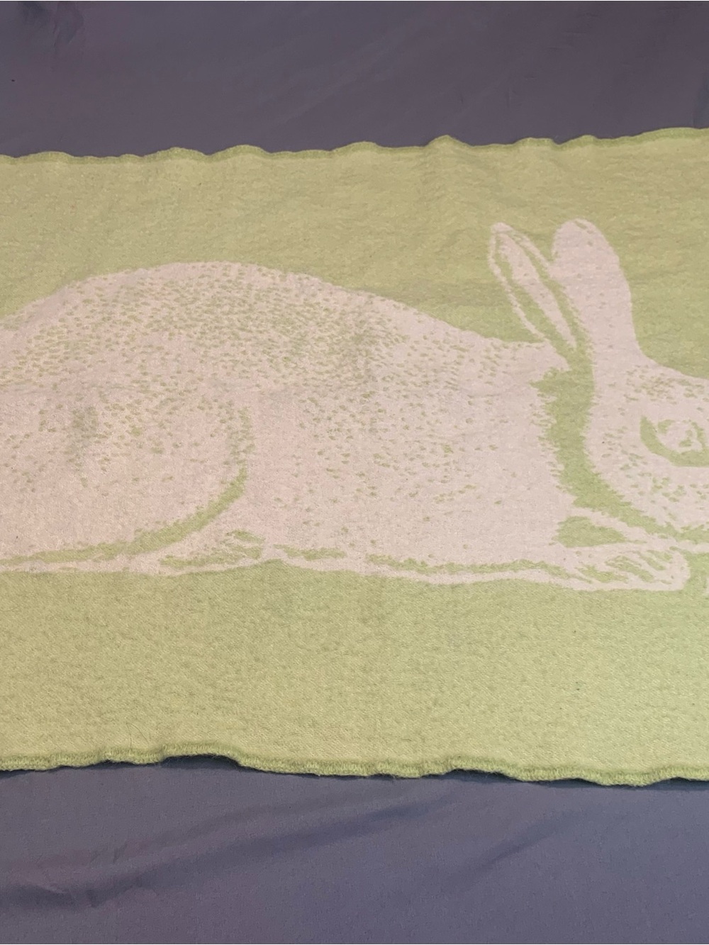 Thomas Paul Baby Alpaca Throw Kiwi Rabbit  36” x 26” Made In Peru 100% Alpaca